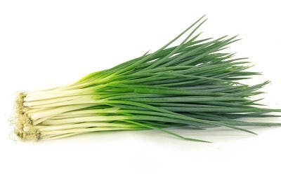 Полезные и вредные свойства зеленого лука