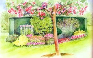 Цветник на фоне живой изгороди