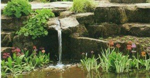Дачный пруд с водопадом