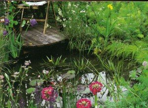 Декоративный пруд на садовом участке