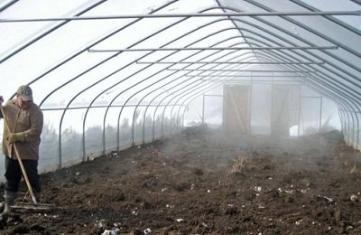 Выращивание редиса в теплице круглый год