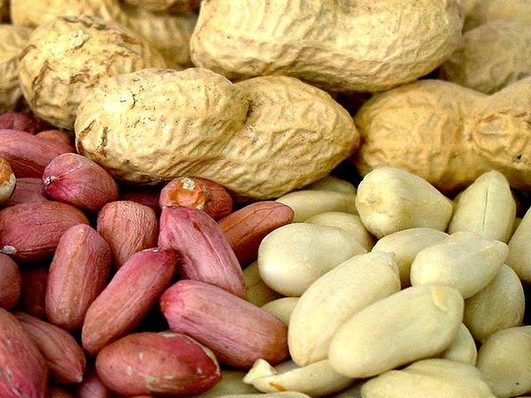 Выращивание земляного ореха: польза и вред