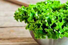 Листовой салат. Как выбрать полезную зелень